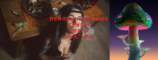 индика Балабаново