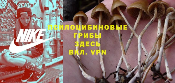 индика Балабаново