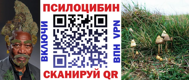 Псилоцибиновые грибы мухоморы  закладки  Серафимович 